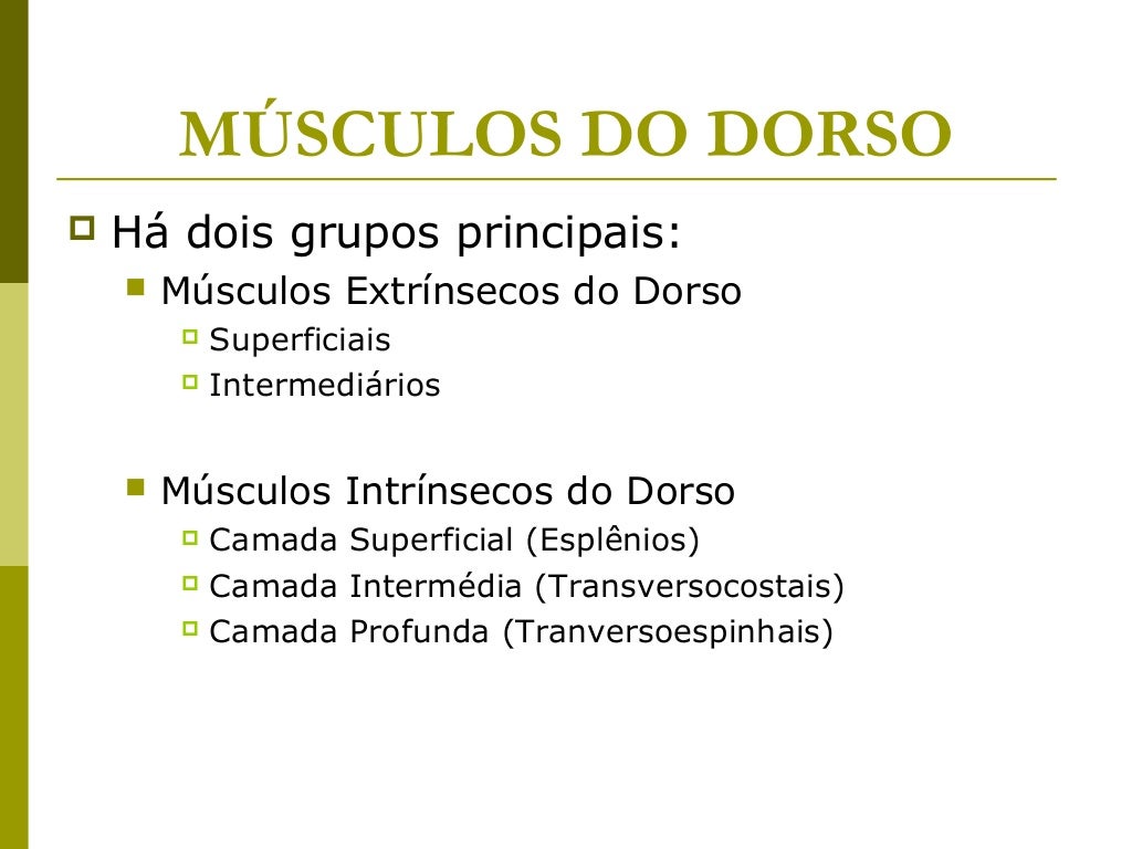 MÚSCULOS DO DORSO   Há dois grupos principais:       Músculos Extrínsecos do Dorso          Superficiais          Inte...