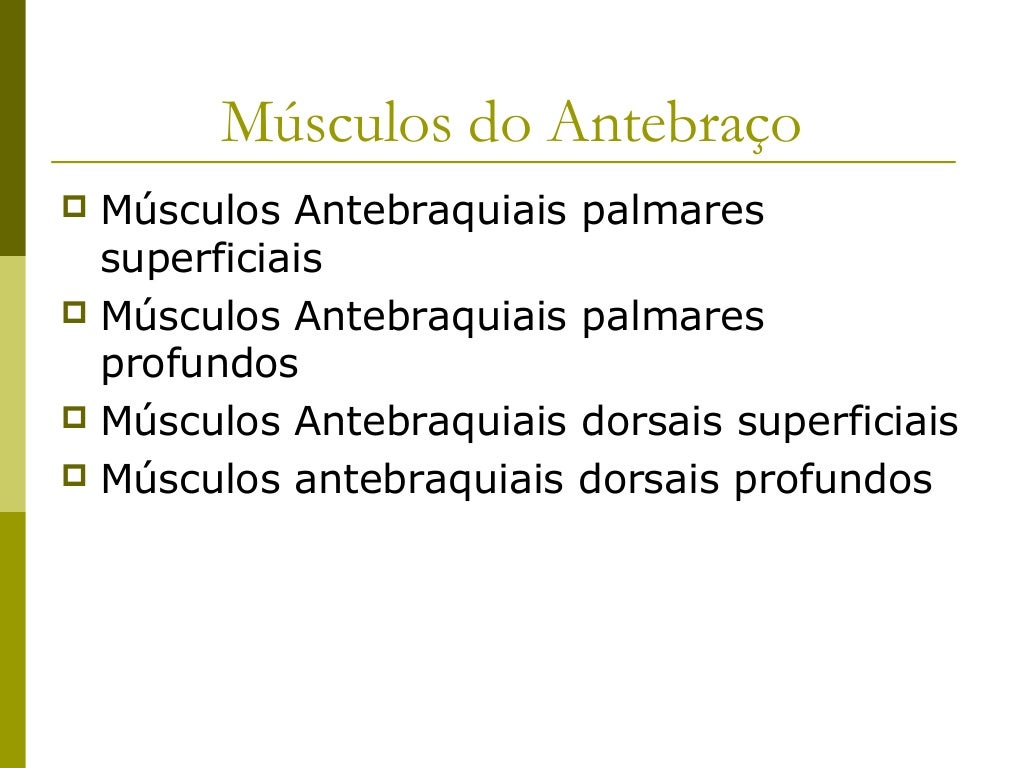 Músculos do Antebraço Músculos Antebraquiais palmares  superficiais Músculos Antebraquiais palmares  profundos Músculos...