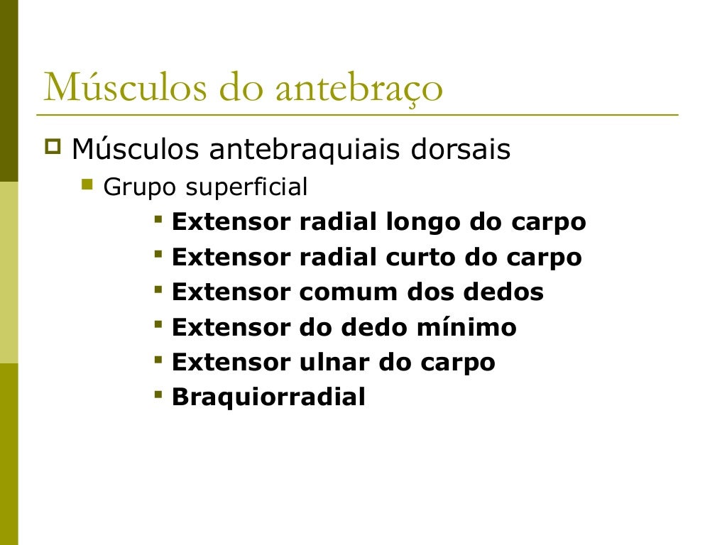 Músculos do antebraço   Grupo profundo       Supinador       Abdutor longo do polegar       Extensor longo do polegar ...