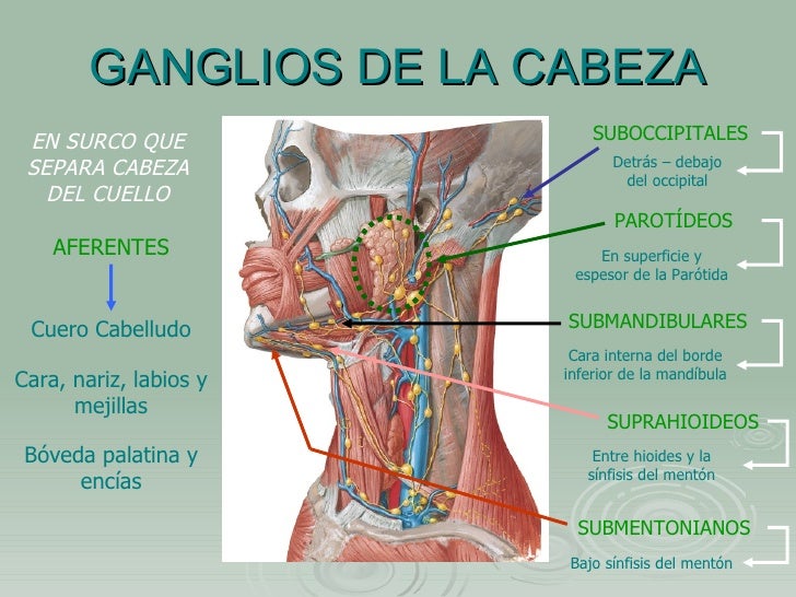 El aneurismo de la aorta del departamento de pecho el tratamiento