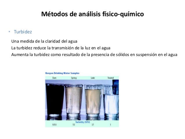 El análisis a los parásitos la microscopía