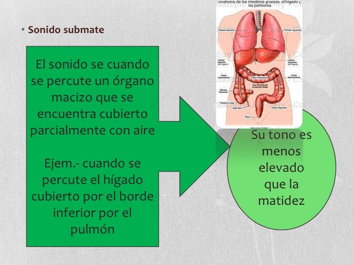 Métodos semiológicos