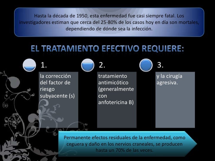 Los mejores medios del hongo sobre la persona
