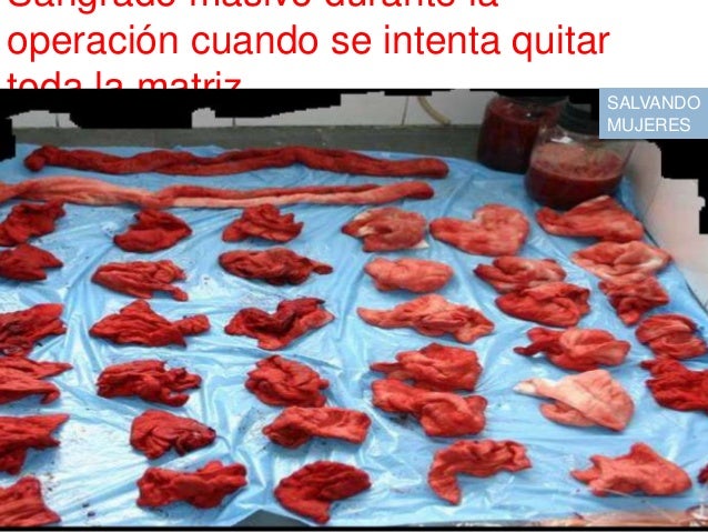 LA MATRIZ MUJER la matriz mujer: