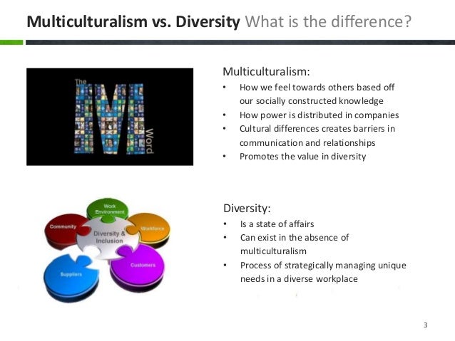 Diversity vs Multiculturalism