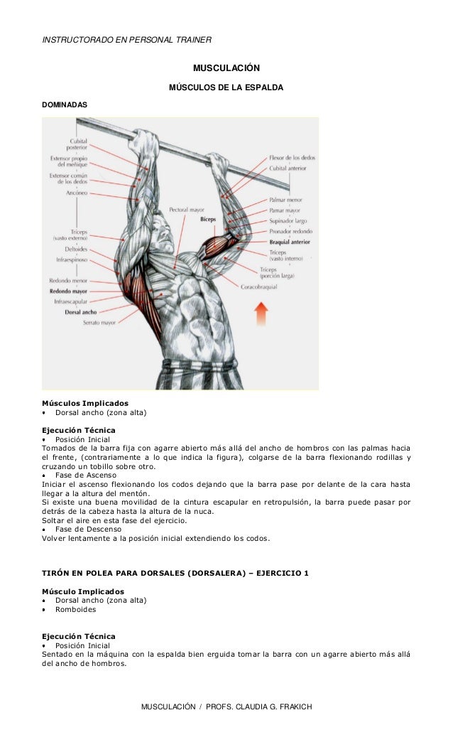 GUIA GIMNASIO guia gimnasio: