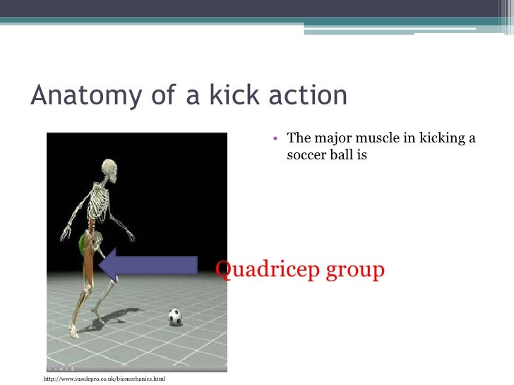 A STEM Module for Bioengineering Topics Muscle and Movement Part I