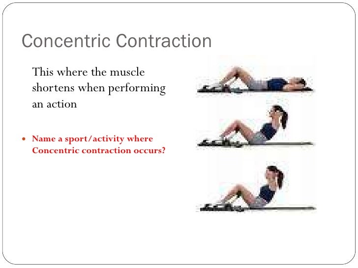 Muscle contraction types and all or none law