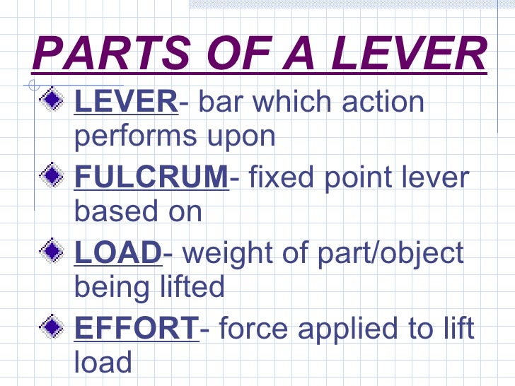 Muscle Levers.ppt