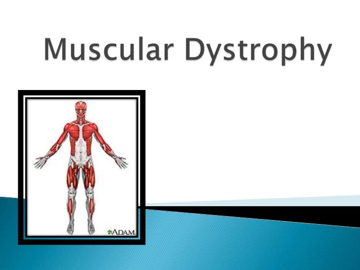muscular dystrophy research paper muscular dystrophy research paper