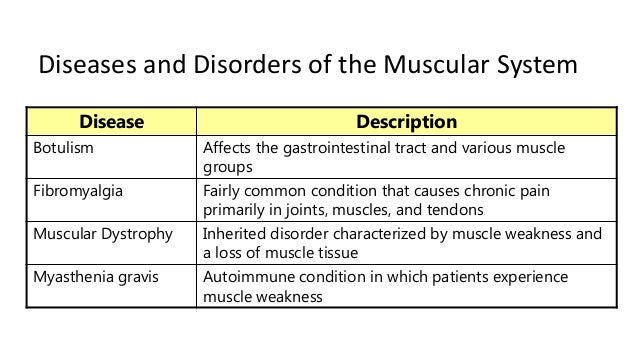 diseases of the muscular system Though there are many medical conditions associated with the skeletal system, some of the major and most disturbing maladies include kyphosis, arthritis, osteoporosis. diseases of the muscular system Though there are many medical conditions associated with the skeletal system, some of the major and most disturbing maladies include kyphosis, arthritis, osteoporosis.