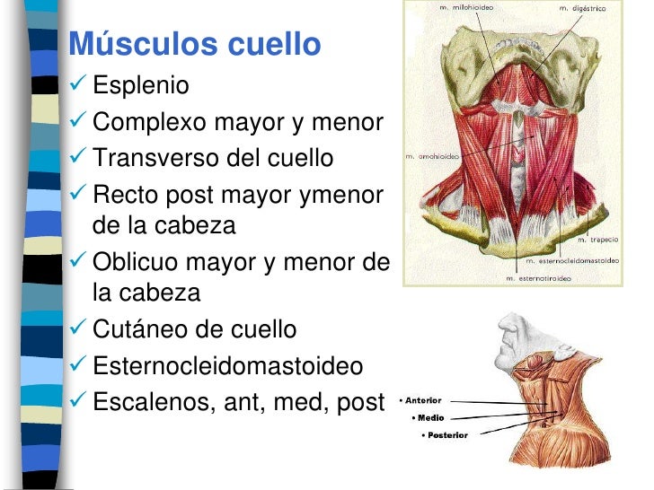 La medicina en las pastillas la osteocondrosis