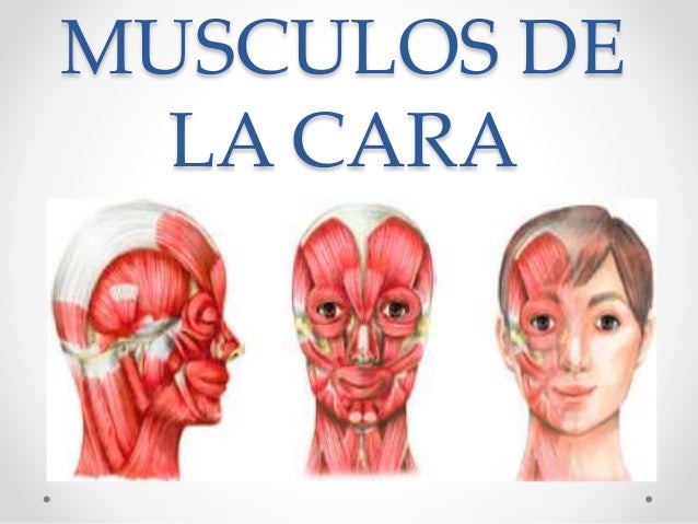 Cara não-invasiva que se levanta antes e depois de uma foto