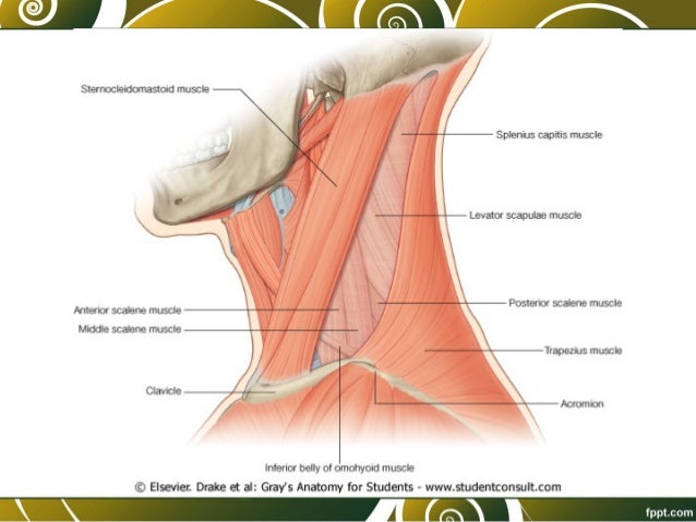 El tratamiento de la osteocondrosis urinoterapiey