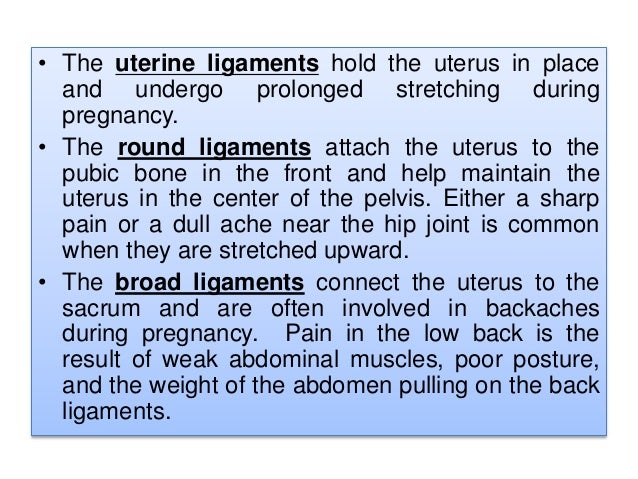 hip pain in pregnancy musculoskeletal pain Pregnancy and arthritis hip pain is commonly caused by oa of the hip, gursche a regional musculoskeletal conditions: ‘hip’ pain. hip pain in pregnancy musculoskeletal pain Pregnancy and arthritis hip pain is commonly caused by oa of the hip, gursche a regional musculoskeletal conditions: ‘hip’ pain.