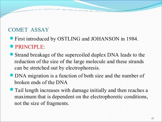 comet essay comet essay