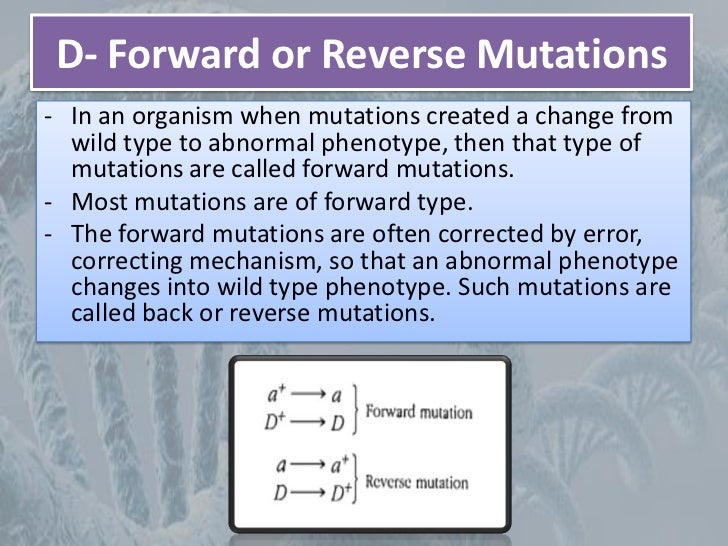 Mutation