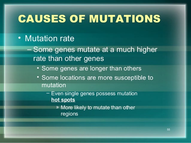 How Does Mutation Influence Natural Selection How Does Mutation Influence Natural Selection
