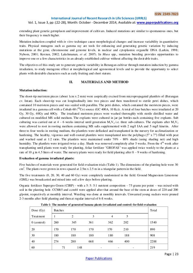 exemple cv spp