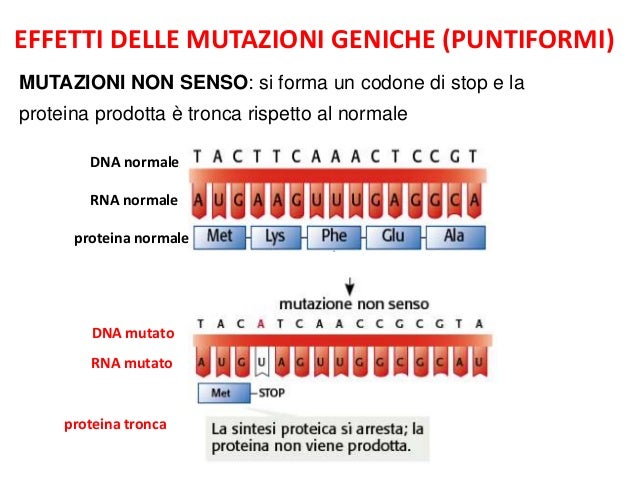 mutazioni-5-638.jpg?cb=1397197662
