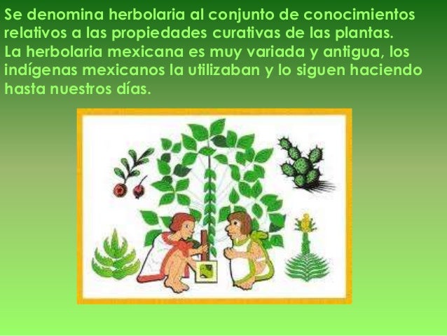 México prehispanico (herbolaria)