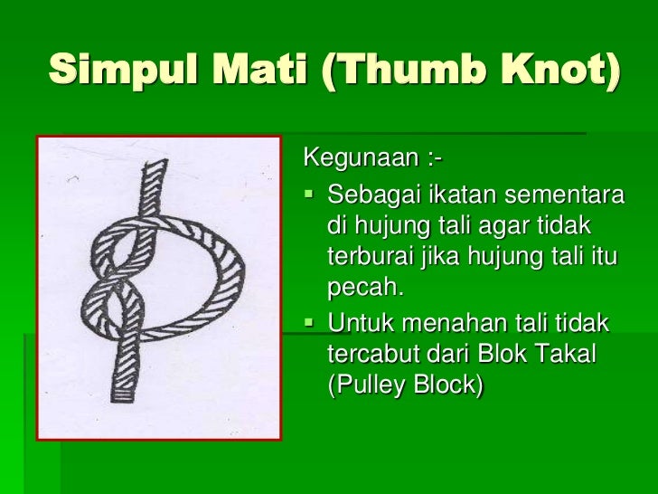Bagaimana untuk membuat tawaran pada pilihan binari Bagaimana untuk membuat tawaran pada pilihan binari