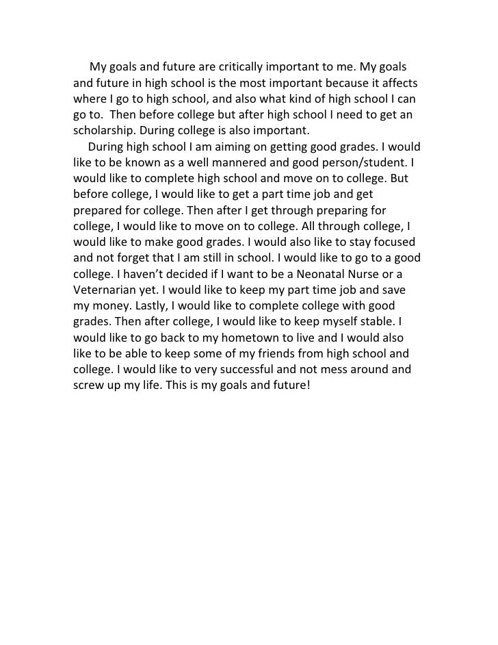 essay about my future