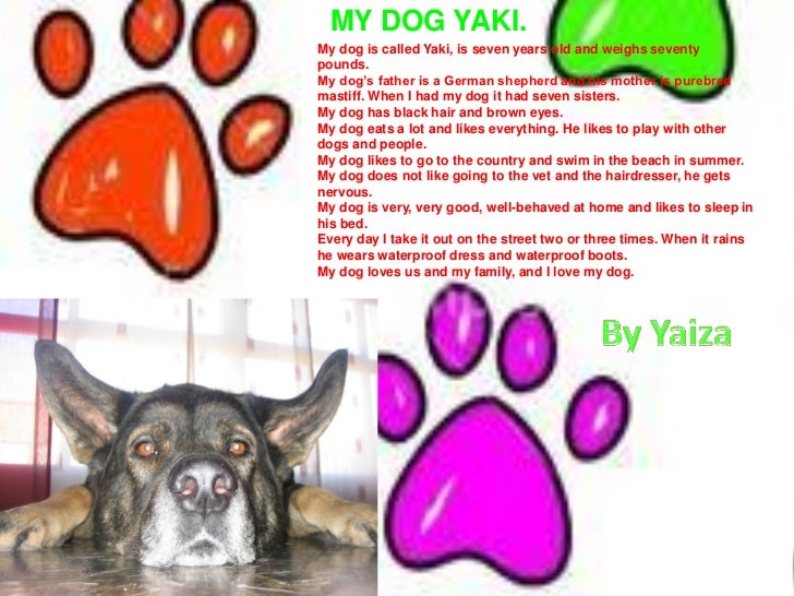 my pet my pet my pet my pet