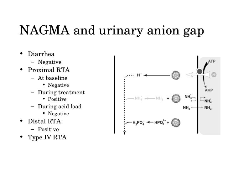 Nonanion gap Metabolic Acidosis (NAGMA)