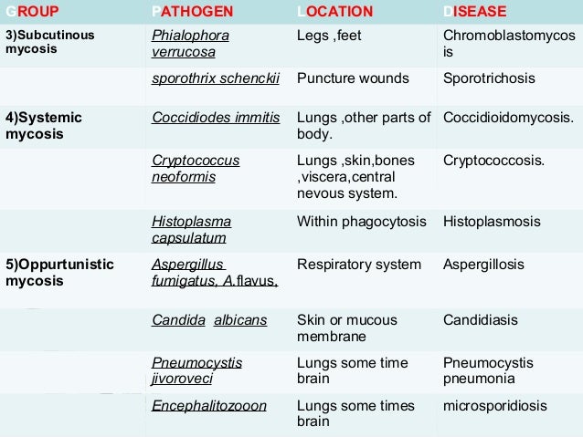 book mammalian and avian transgenesis