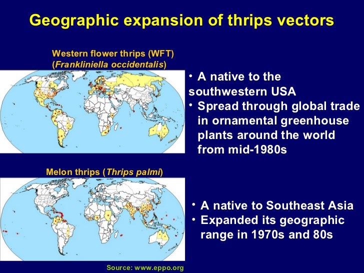how-to-deal-with-complex-virus-disease-problems-33-728.jpg
