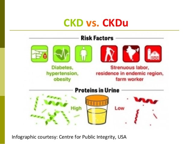 fine dialysis centers in brooklyn fmc dialysis lancaster ca