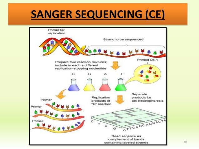 what is nano dna sequencing Huntsman cancer institute / research / shared resources / cancer center managed resources / pricing / illumina sequencing pricing illumina truseq dna nano. what is nano dna sequencing Huntsman cancer institute / research / shared resources / cancer center managed resources / pricing / illumina sequencing pricing illumina truseq dna nano.