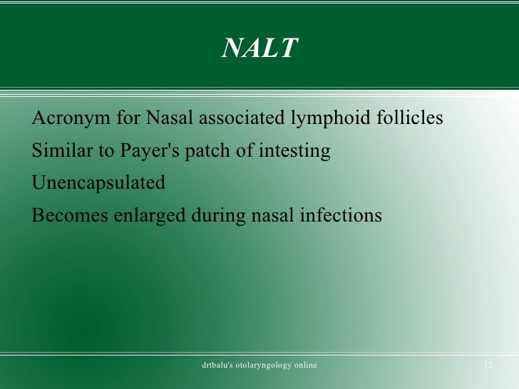 natural treatments for a sinus contamination nasal polyps remedy for dogs