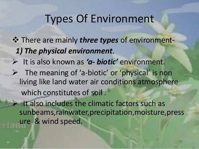 Man and environment essay