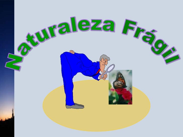 download the little review