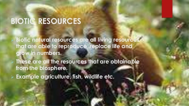 Essay on natural resources