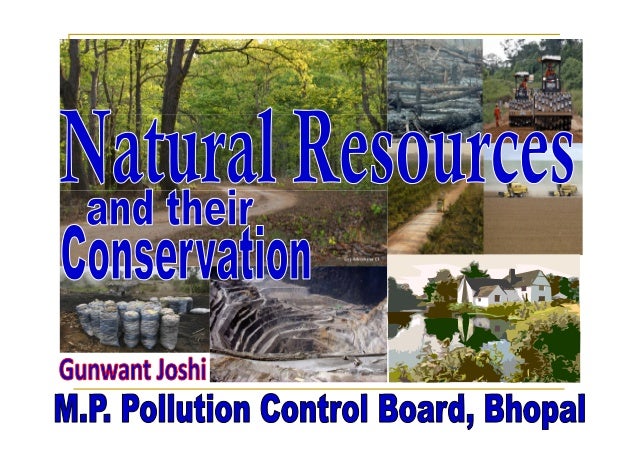 Essay On Oil And Petroleum Conservation