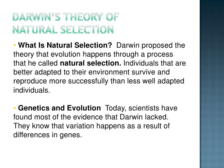 Darwin S Evidence For Natural Selection Darwin S Evidence For Natural Selection