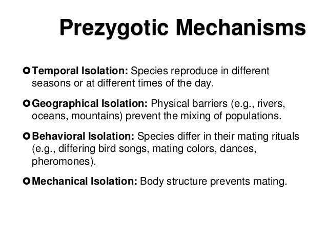 How Do Evolution And Natural Selection Differ How Do Evolution And Natural Selection Differ