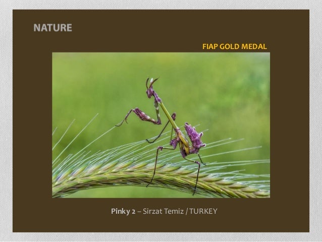 Kết quả hình ảnh cho gia định photo contest