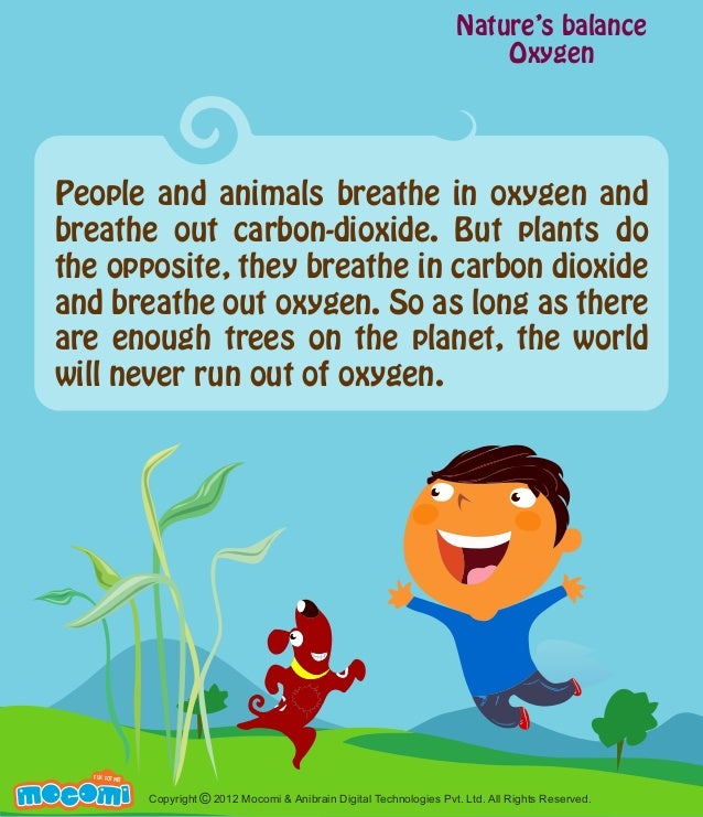 The importance of Oxygen in Nature�s balance