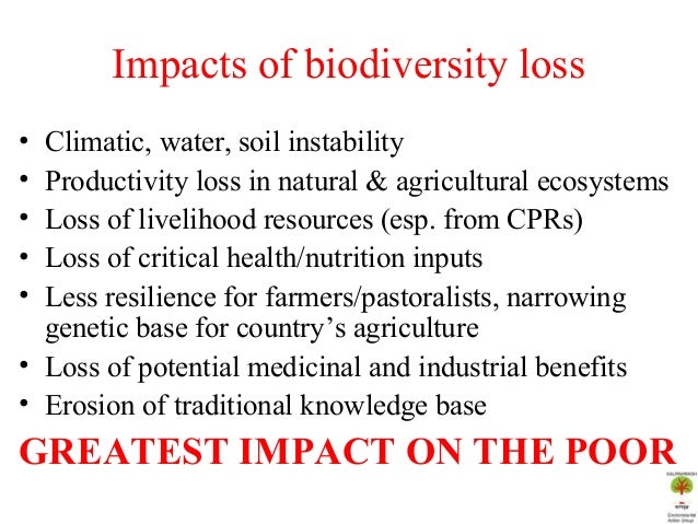 Important strategy for the conservation of biodiversity in india