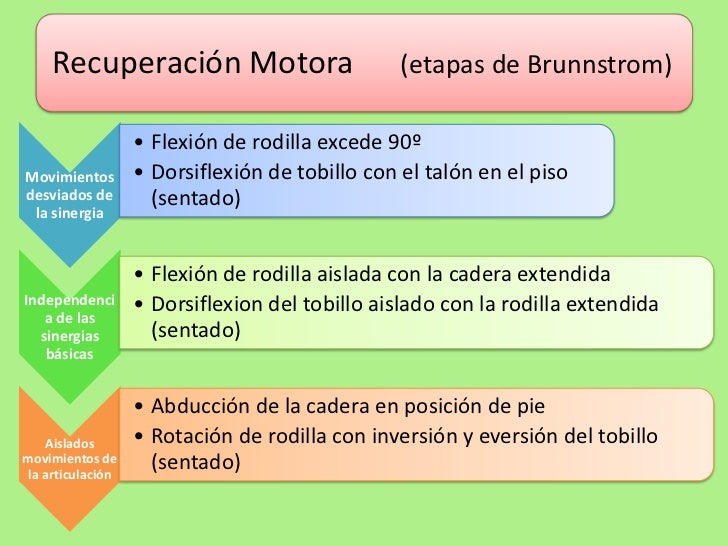 Terapia de Espejo: Rehabilitación
