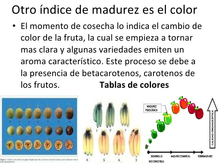 íNdices de madurez de frutas y hortalizas