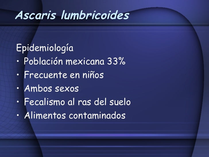 Los síntomas de las lombrices del gato