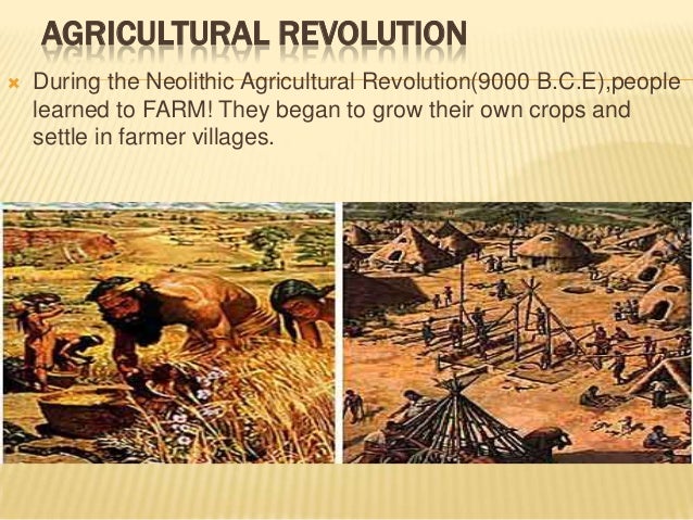 neolithic revolution and age of exploration The neolithic revolution happened at a time in world history when it was simply not possible to have any significant amount of trade in food between different parts of the world the neolithic revolution was the time in history in which agriculture first came about. neolithic revolution and age of exploration The neolithic revolution happened at a time in world history when it was simply not possible to have any significant amount of trade in food between different parts of the world the neolithic revolution was the time in history in which agriculture first came about.