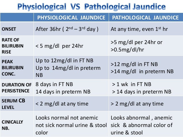 physiologic jaundice vs pathological jaundice