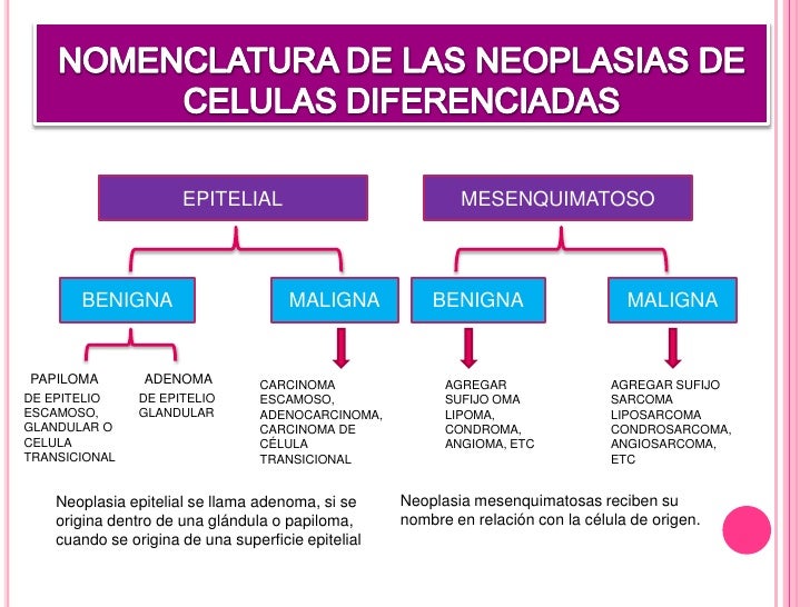 Neoplasia Epitelial Maligna