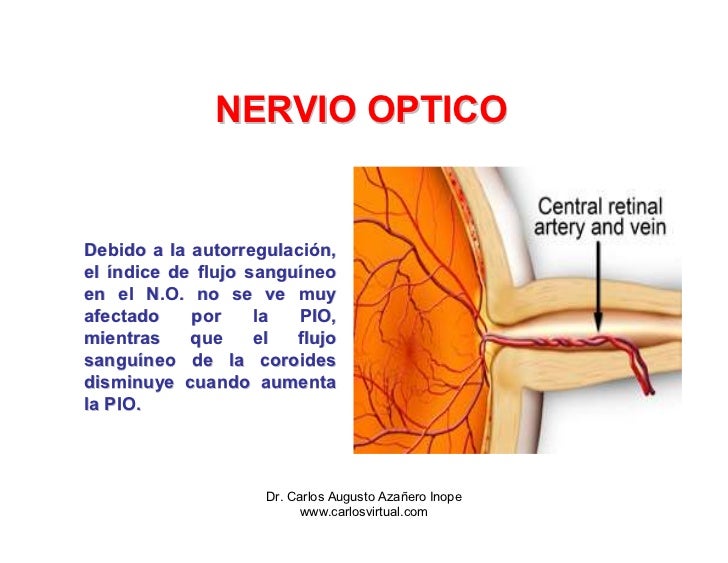 Nervio Optico Fisiologia